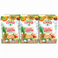 Clássico Multifrutos 3x200ml